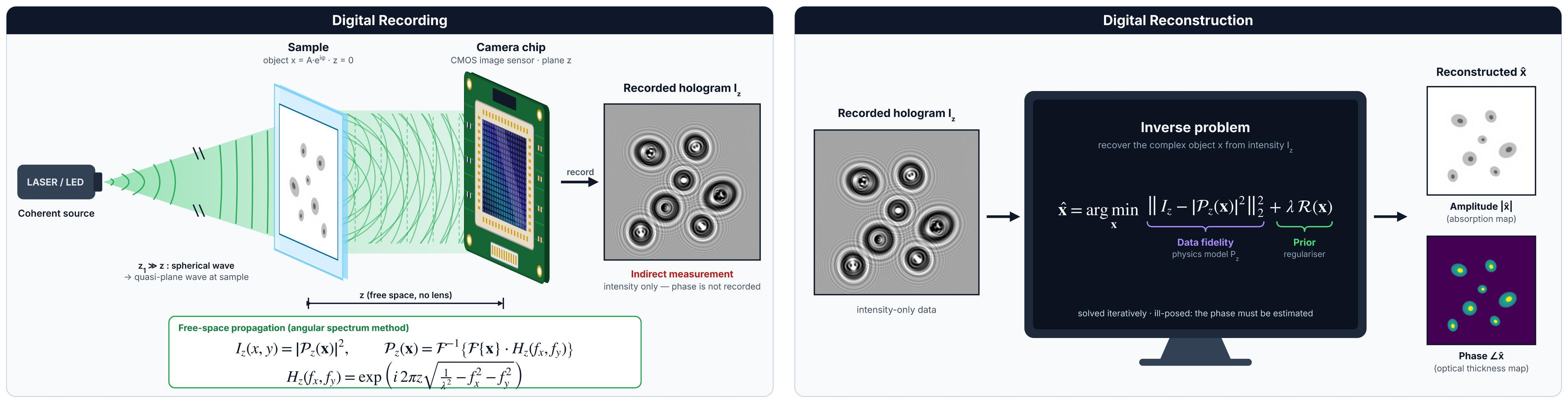 Working principle from the poster: digital recording of a hologram and digital reconstruction by solving an inverse problem to obtain amplitude and phase.