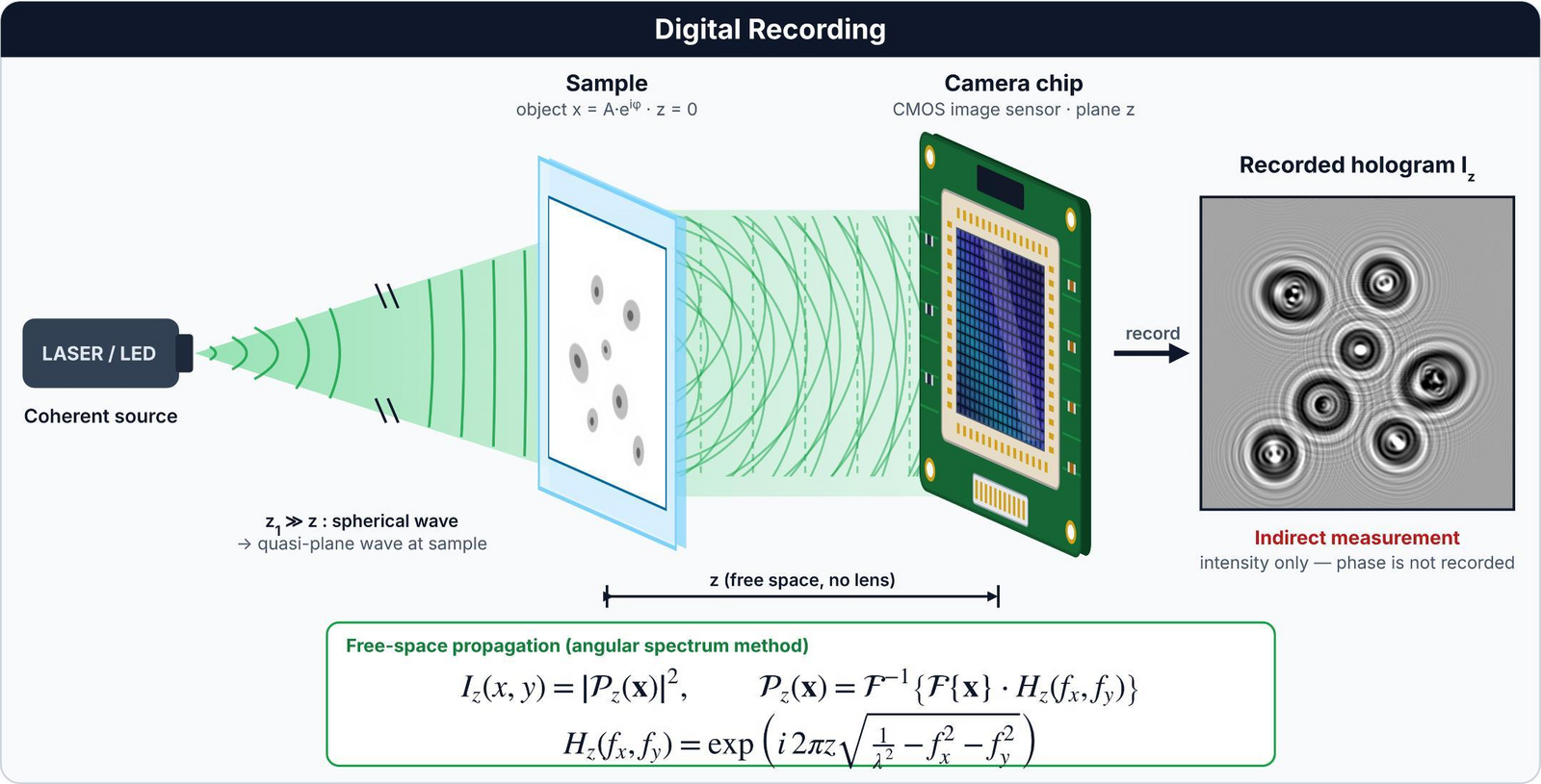 Recording geometry: laser or LED source, sample at z = 0, camera chip at distance z, recorded hologram.
